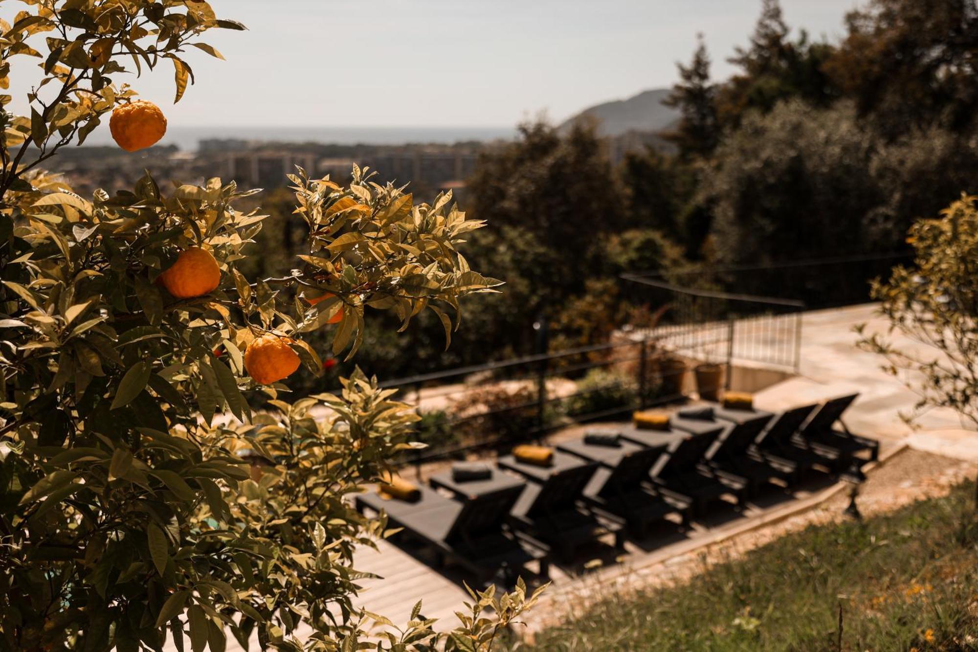 Villa Les Roches Mandelieu Kültér fotó