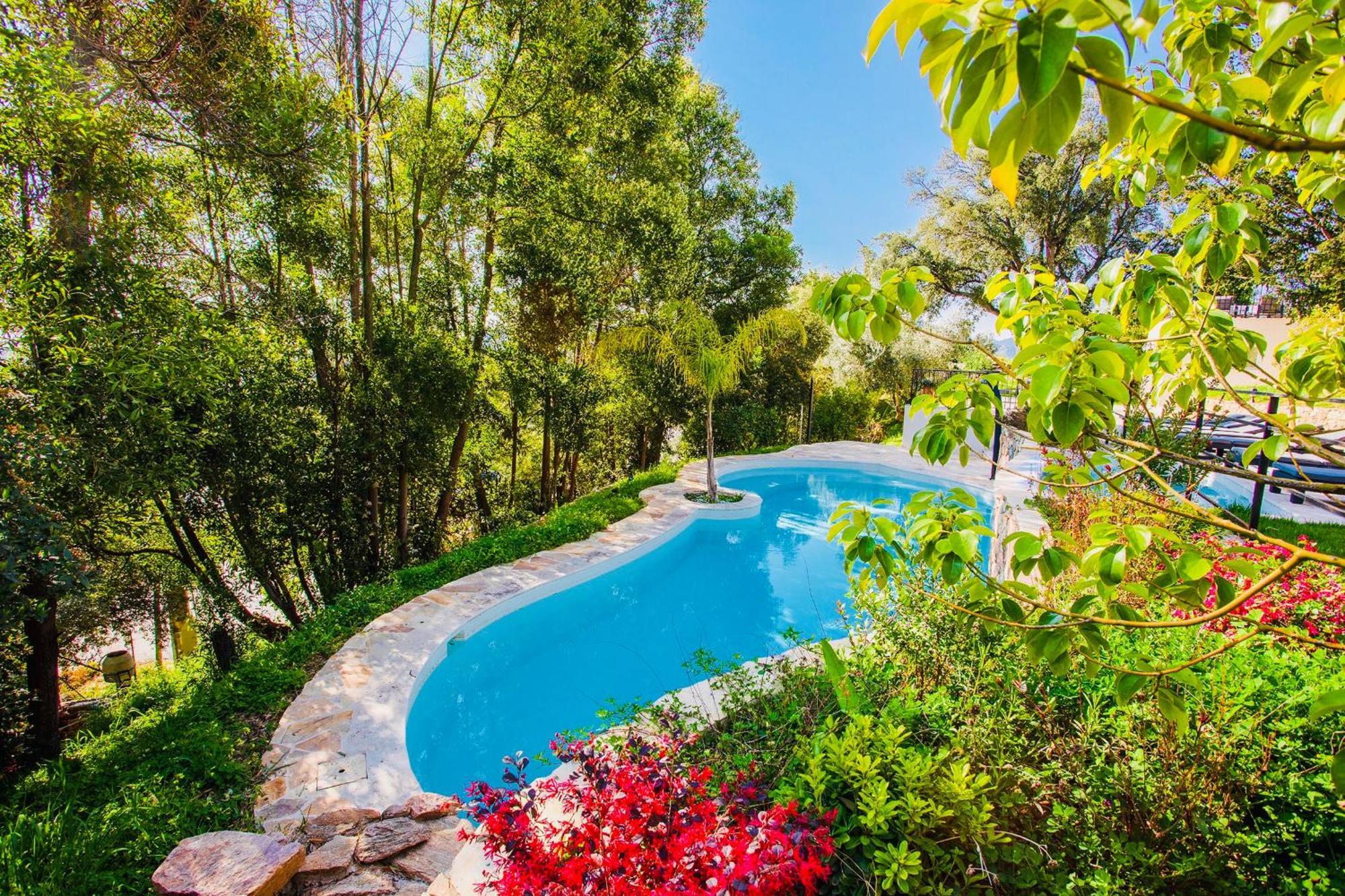 Villa Les Roches Mandelieu Kültér fotó